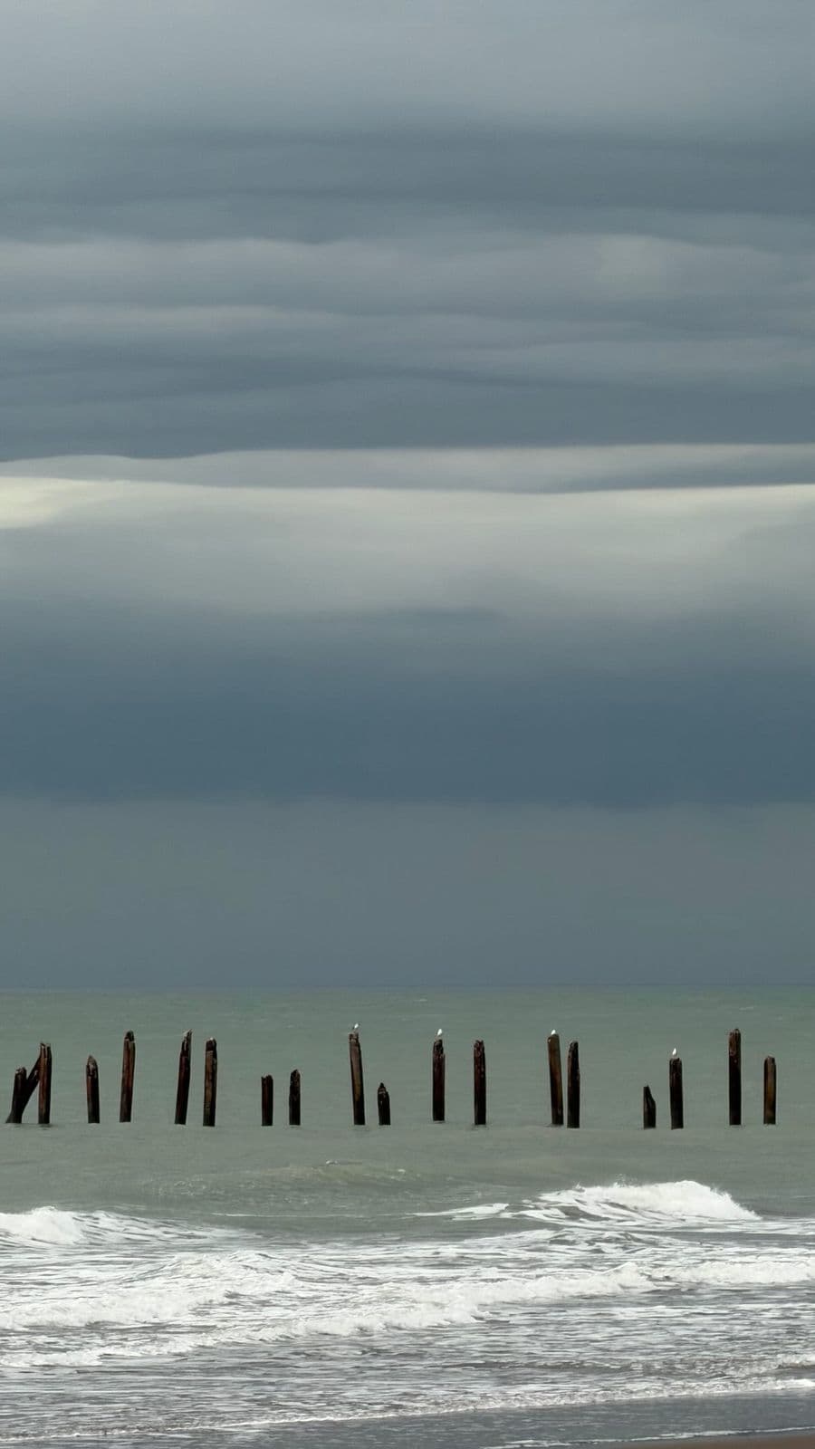 Monte Hermoso